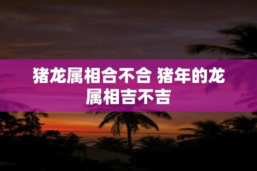 猪龙属相合不合 猪年的龙属相吉不吉