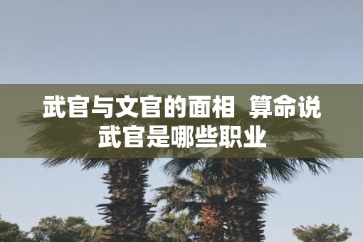 武官与文官的面相  算命说武官是哪些职业
