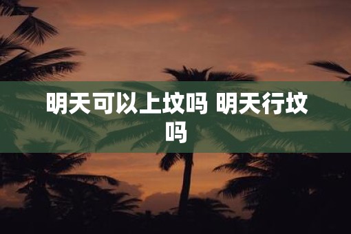 明天可以上坟吗 明天行坟吗