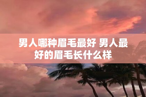 男人哪种眉毛最好 男人最好的眉毛长什么样