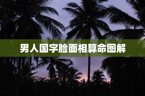 男人国字脸面相算命图解