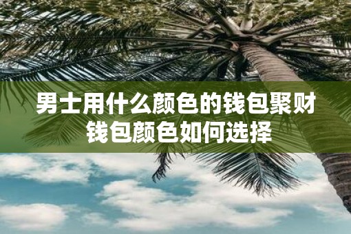 男士用什么颜色的钱包聚财 钱包颜色如何选择