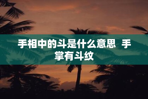 手相中的斗是什么意思  手掌有斗纹