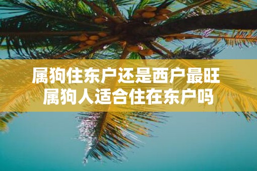 属狗住东户还是西户最旺 属狗人适合住在东户吗
