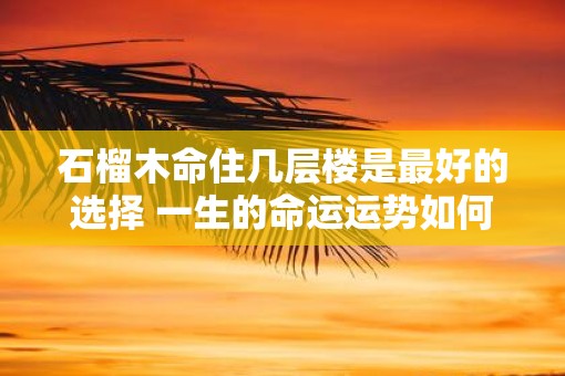 石榴木命住几层楼是最好的选择 一生的命运运势如何