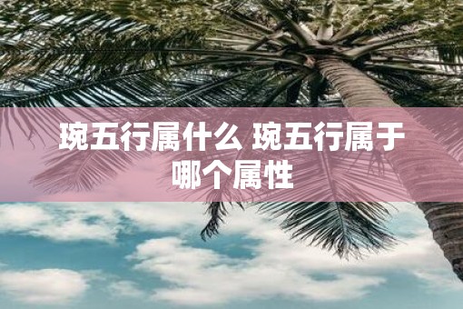 琬五行属什么 琬五行属于哪个属性