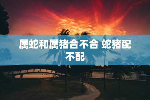 属蛇和属猪合不合 蛇猪配不配