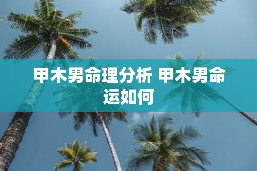 甲木男命理分析 甲木男命运如何