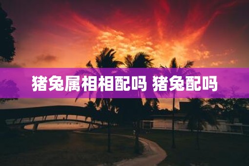 猪兔属相相配吗 猪兔配吗