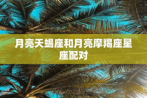 月亮天蝎座和月亮摩羯座星座配对
