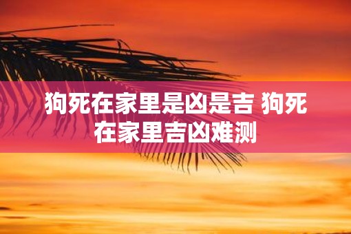狗死在家里是凶是吉 狗死在家里吉凶难测