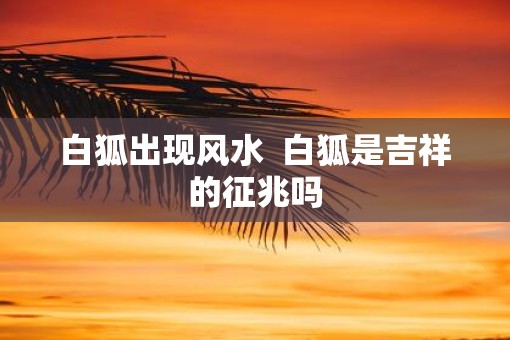 白狐出现风水  白狐是吉祥的征兆吗