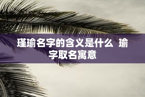 瑾瑜名字的含义是什么  瑜字取名寓意