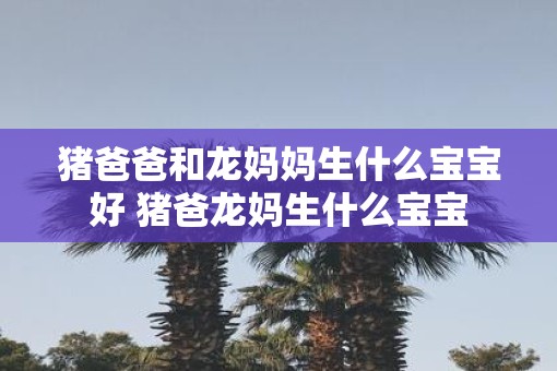 猪爸爸和龙妈妈生什么宝宝好 猪爸龙妈生什么宝宝
