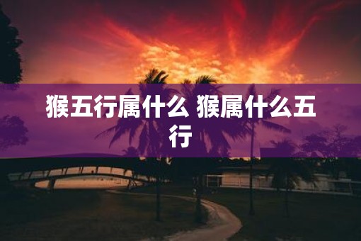 猴五行属什么 猴属什么五行