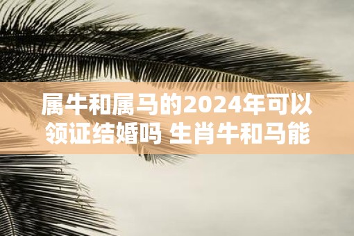 属牛和属马的2025年可以领证结婚吗 生肖牛和马能做夫妻吗