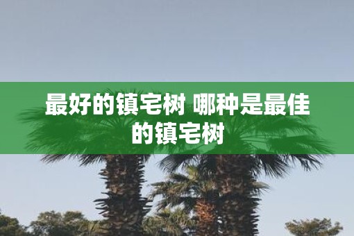 最好的镇宅树 哪种是最佳的镇宅树