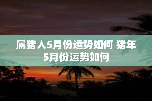 属猪人5月份运势如何 猪年5月份运势如何