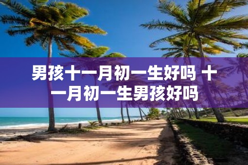 男孩十一月初一生好吗 十一月初一生男孩好吗