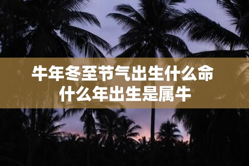 牛年冬至节气出生什么命 什么年出生是属牛