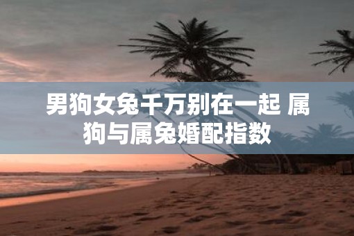 男狗女兔千万别在一起 属狗与属兔婚配指数