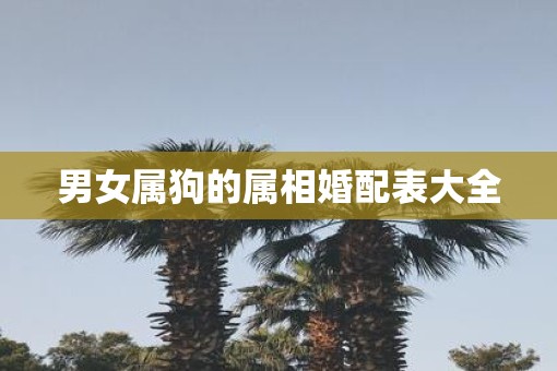 男女属狗的属相婚配表大全