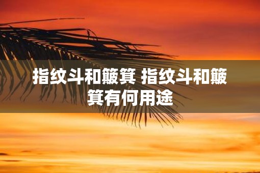 指纹斗和簸箕 指纹斗和簸箕有何用途