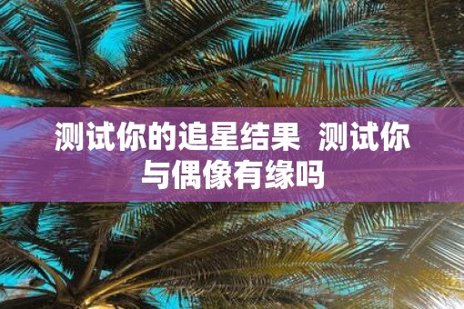 测试你的追星结果  测试你与偶像有缘吗