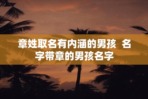 章姓取名有内涵的男孩  名字带章的男孩名字
