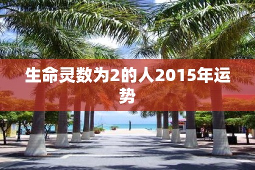 生命灵数为2的人2015年运势
