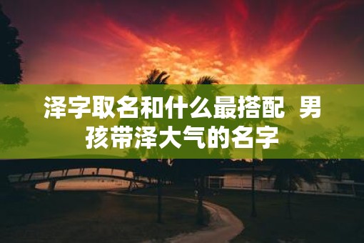 泽字取名和什么最搭配  男孩带泽大气的名字