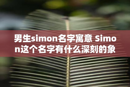 男生simon名字寓意 Simon这个名字有什么深刻的象征意义吗