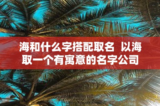 海和什么字搭配取名  以海取一个有寓意的名字公司