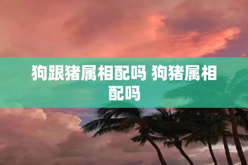 狗跟猪属相配吗 狗猪属相配吗