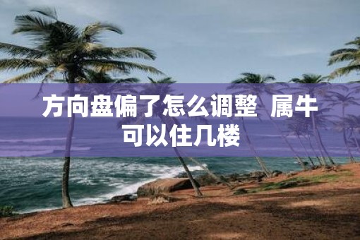 方向盘偏了怎么调整  属牛可以住几楼