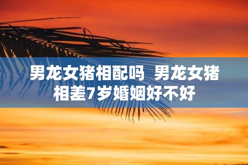 男龙女猪相配吗  男龙女猪相差7岁婚姻好不好