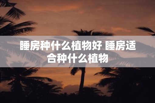 睡房种什么植物好 睡房适合种什么植物