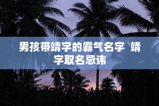 男孩带靖字的霸气名字  靖字取名忌讳