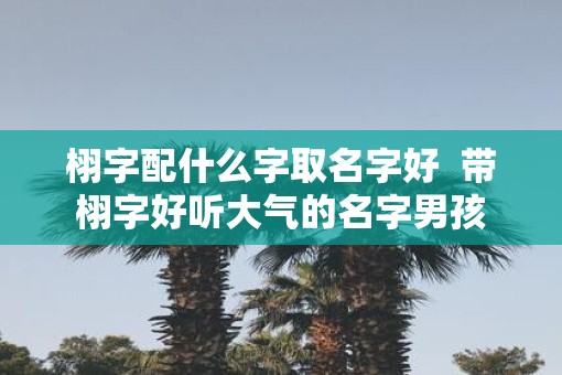 栩字配什么字取名字好  带栩字好听大气的名字男孩
