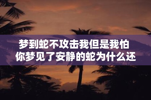 梦到蛇不攻击我但是我怕 你梦见了安静的蛇为什么还害怕呢