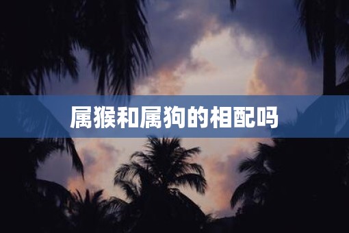 属猴和属狗的相配吗