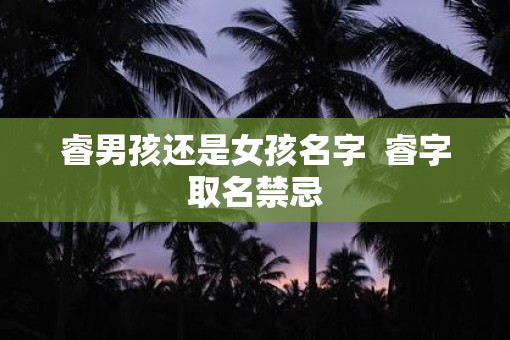 睿男孩还是女孩名字  睿字取名禁忌