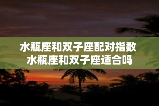 水瓶座和双子座配对指数 水瓶座和双子座适合吗
