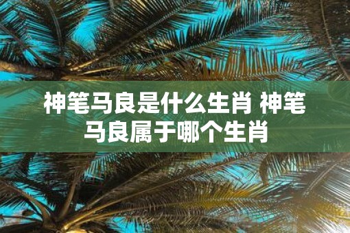 神笔马良是什么生肖 神笔马良属于哪个生肖