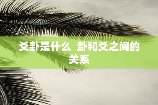 爻卦是什么  卦和爻之间的关系