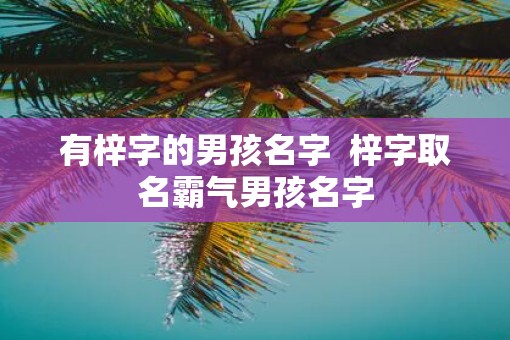 有梓字的男孩名字  梓字取名霸气男孩名字