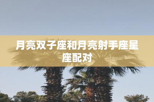 月亮双子座和月亮射手座星座配对
