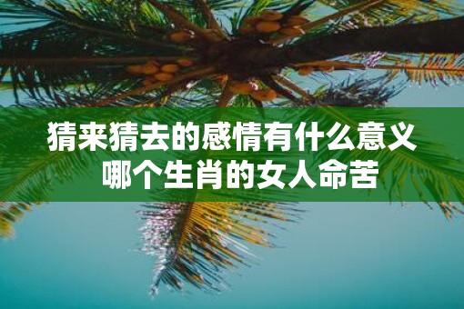 猜来猜去的感情有什么意义  哪个生肖的女人命苦