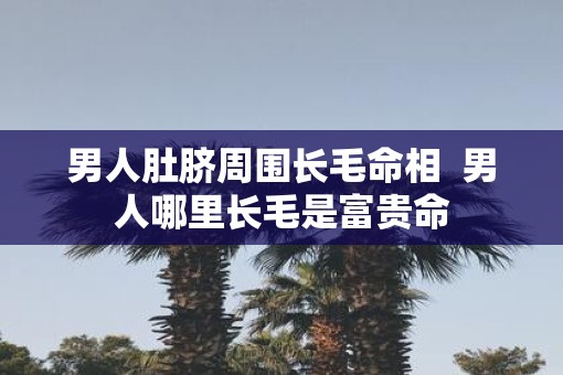 男人肚脐周围长毛命相  男人哪里长毛是富贵命