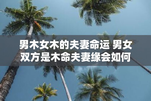 男木女木的夫妻命运 男女双方是木命夫妻缘会如何